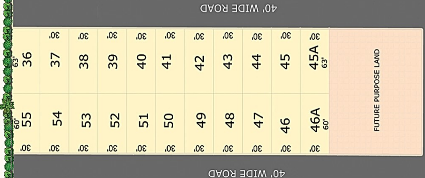 36-55