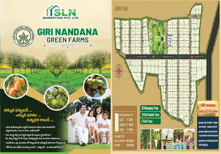 Brochure Preview