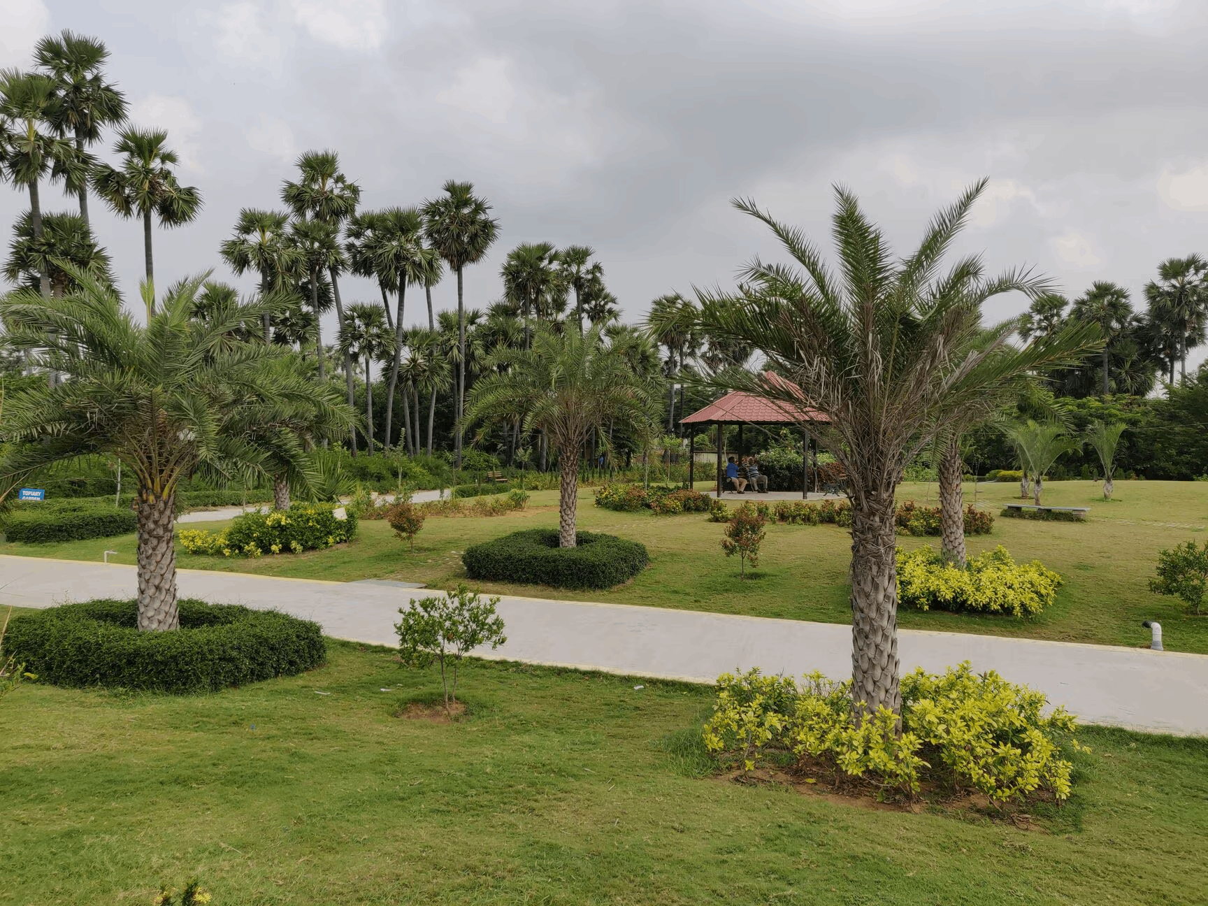 M Sudhakara pillaigarden